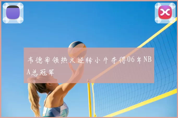 韦德率领热火逆转小牛夺得06年NBA总冠军