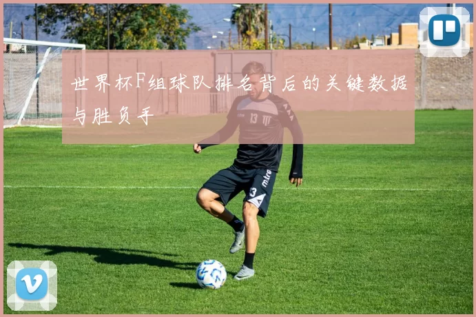 世界杯F组球队排名背后的关键数据与胜负手