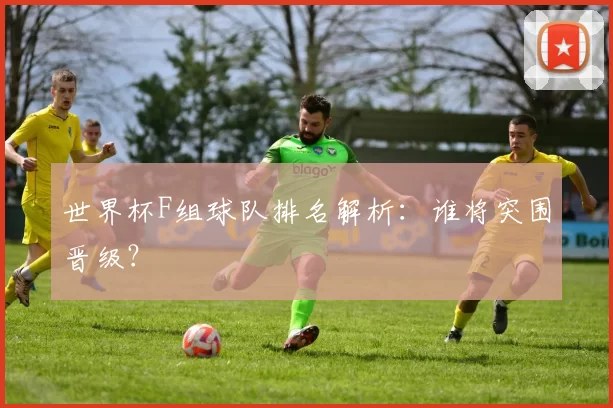 世界杯F组球队排名解析:谁将突围晋级?