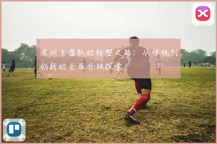 深圳飞盘队的转型之路:从传统到创新的全面升级探索
