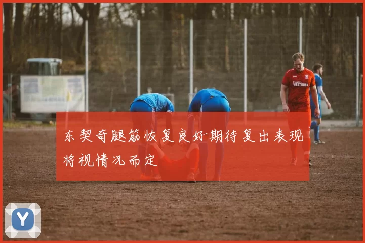 东契奇腿筋恢复良好期待复出表现将视情况而定
