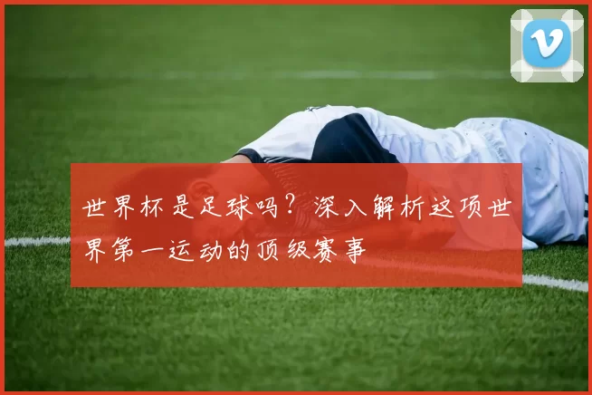 世界杯是足球吗?深入解析这项世界第一运动的顶级赛事