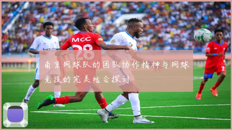 南京网球队的团队协作精神与网球竞技的完美结合探讨