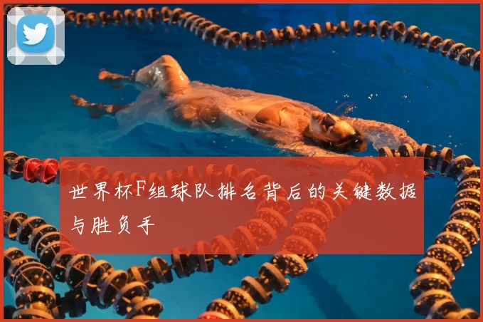 世界杯F组球队排名背后的关键数据与胜负手