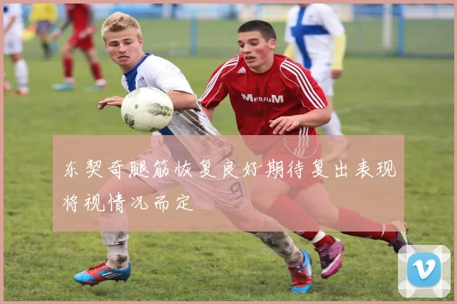 东契奇腿筋恢复良好期待复出表现将视情况而定