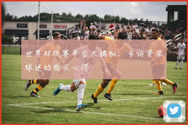 世界杯观赛平台大揭秘：专访资深球迷的购买心得