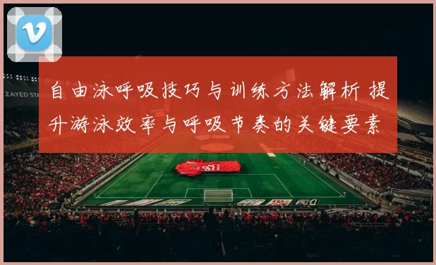 自由泳呼吸技巧与训练方法解析 提升游泳效率与呼吸节奏的关键要素