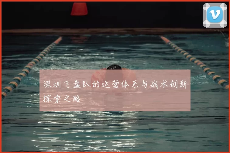 深圳飞盘队的运营体系与战术创新探索之路