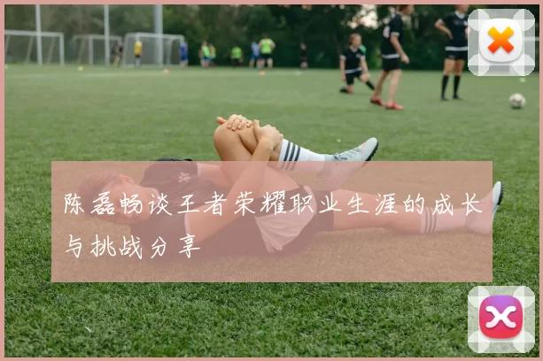 陈磊畅谈王者荣耀职业生涯的成长与挑战分享