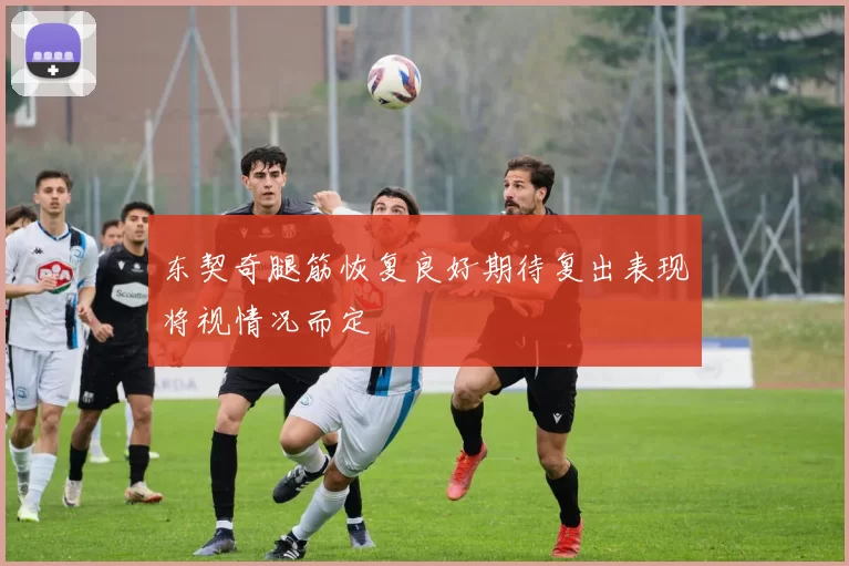 东契奇腿筋恢复良好期待复出表现将视情况而定