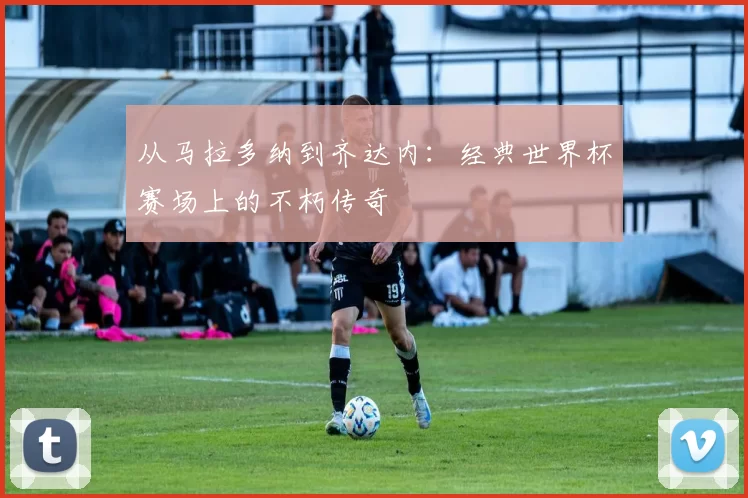 从马拉多纳到齐达内:经典世界杯赛场上的不朽传奇