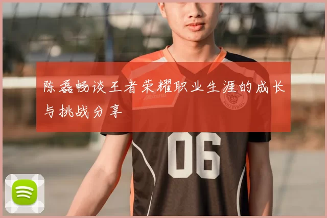 陈磊畅谈王者荣耀职业生涯的成长与挑战分享