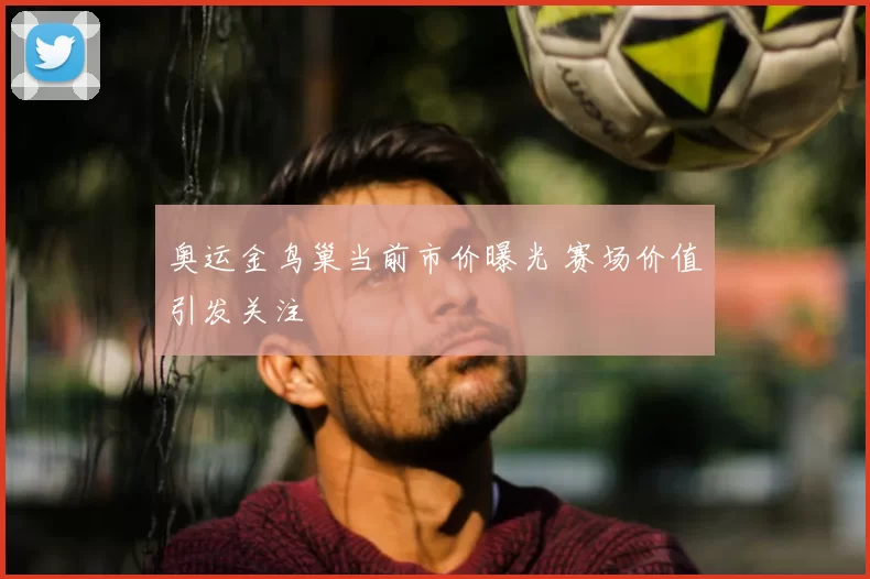奥运金鸟巢当前市价曝光 赛场价值引发关注