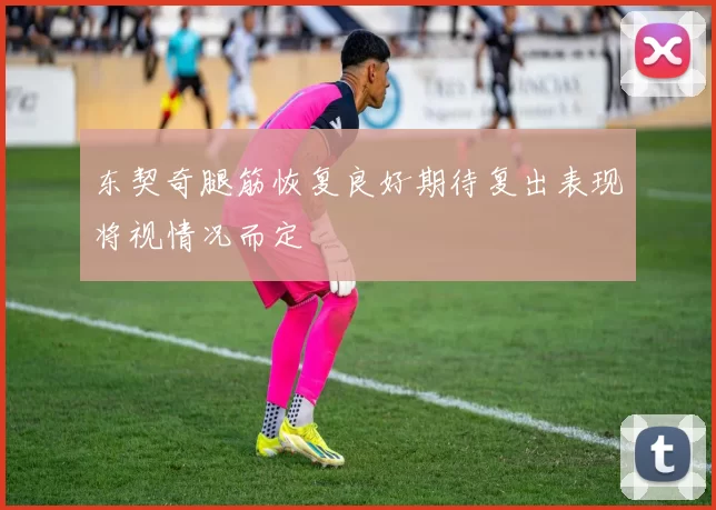 东契奇腿筋恢复良好期待复出表现将视情况而定