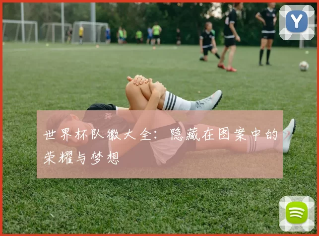 世界杯队徽大全:隐藏在图案中的荣耀与梦想
