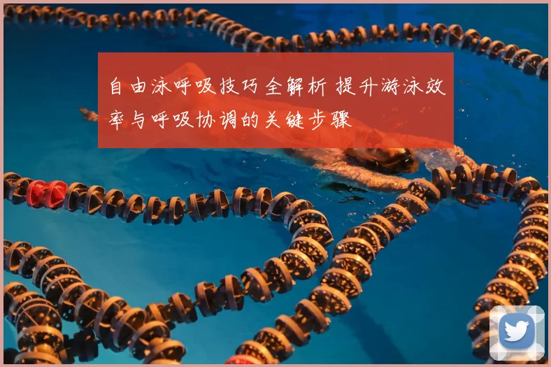自由泳呼吸技巧全解析 提升游泳效率与呼吸协调的关键步骤