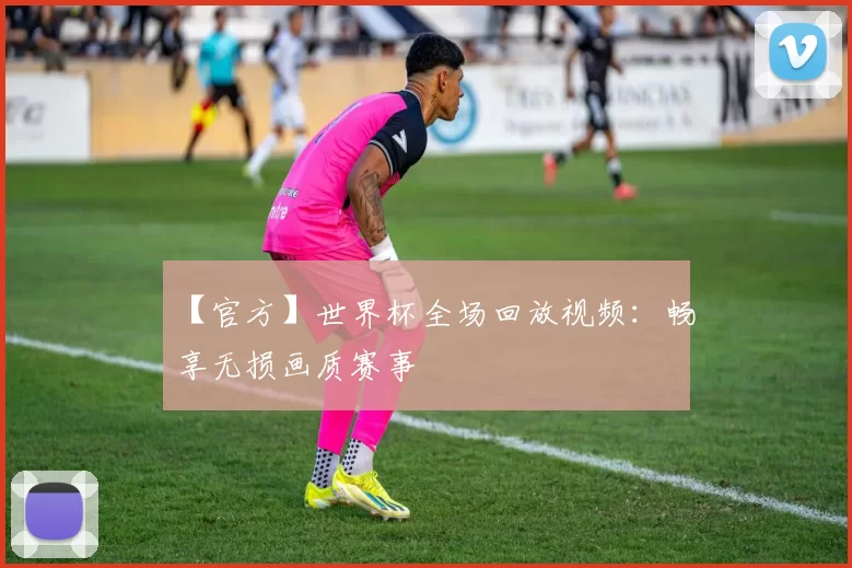 【官方】世界杯全场回放视频:畅享无损画质赛事