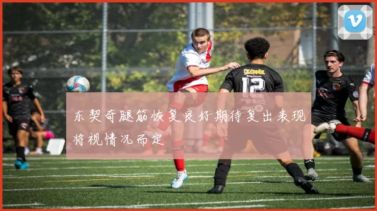 东契奇腿筋恢复良好期待复出表现将视情况而定