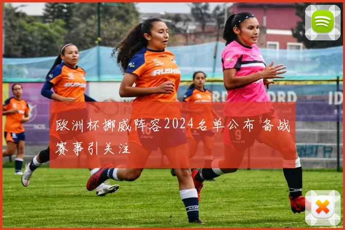 欧洲杯挪威阵容2024名单公布 备战赛事引关注