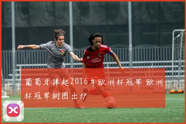 葡萄牙捧起2016年欧洲杯冠军 欧洲杯冠军树图出炉